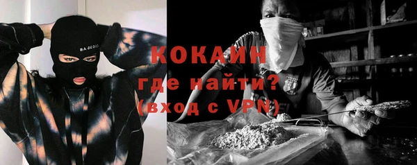 дживик Богородск