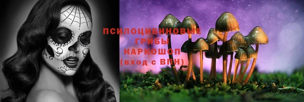 гашик Богородицк
