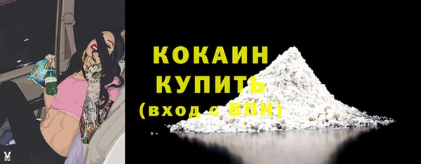 гашик Богородицк