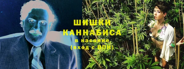 гашик Богородицк