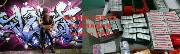гашик Богородицк