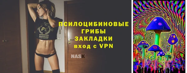 дживик Богородск