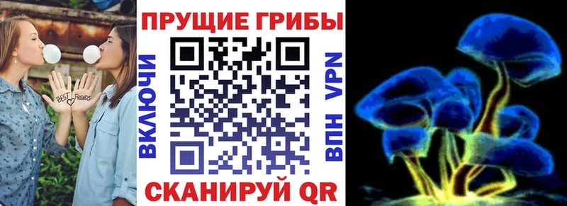 Псилоцибиновые грибы Cubensis Минеральные Воды